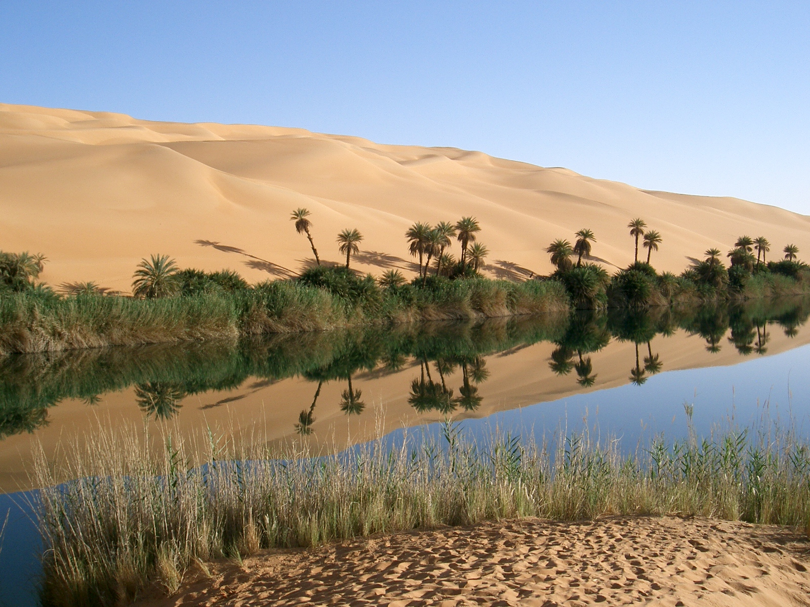 Siwa Oasis